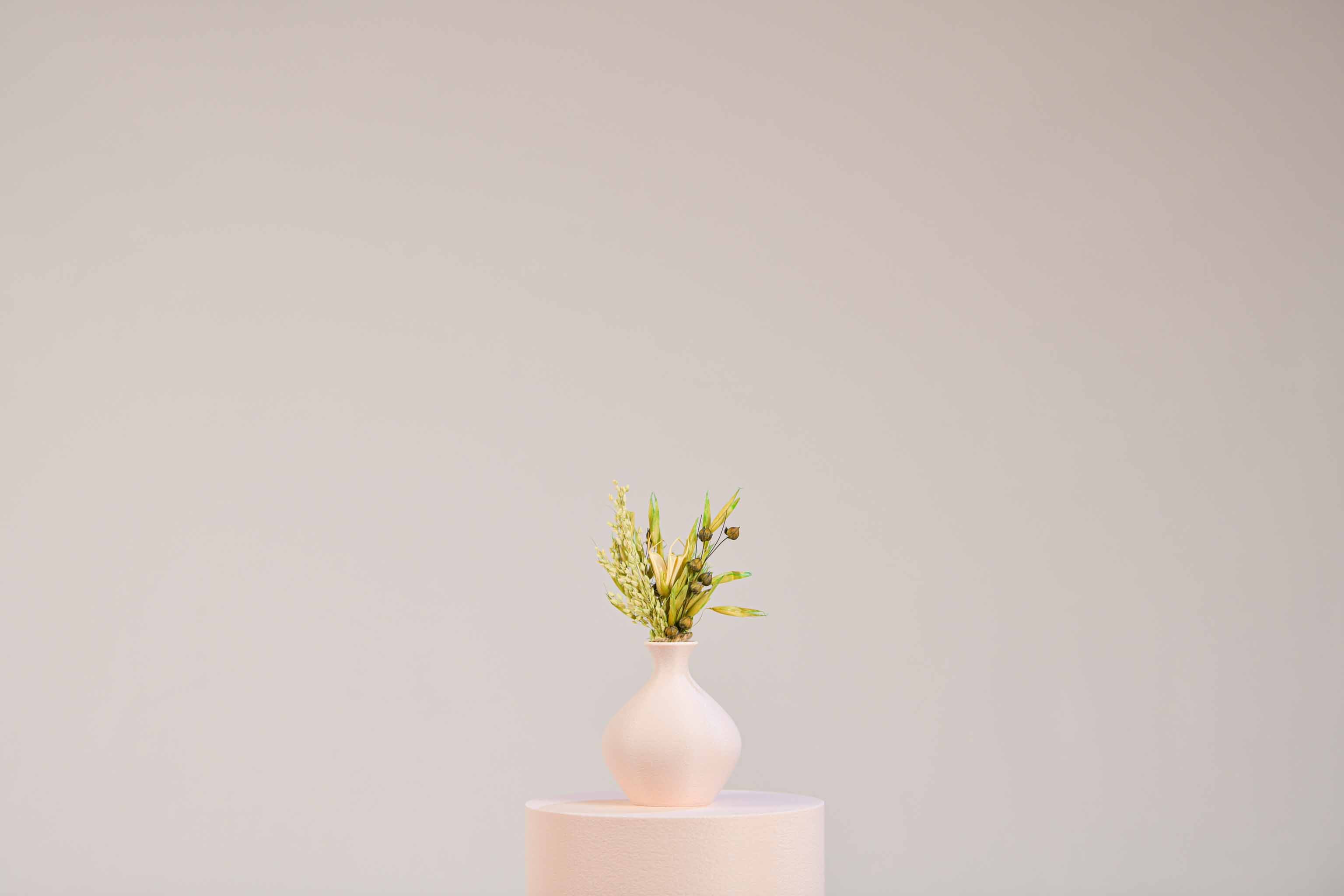 Solifore - Rond (plein)