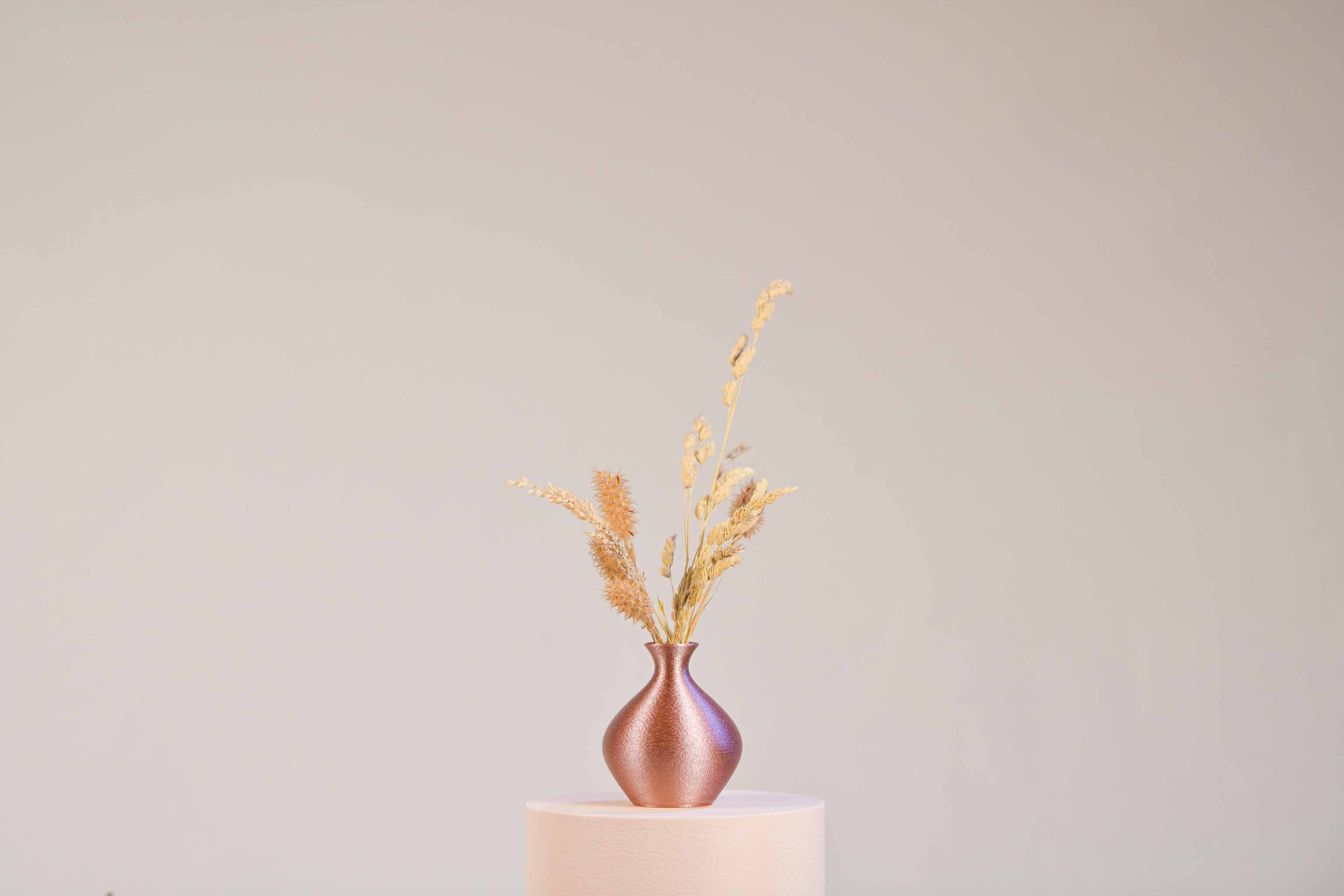 Solifore - Rond (plein)