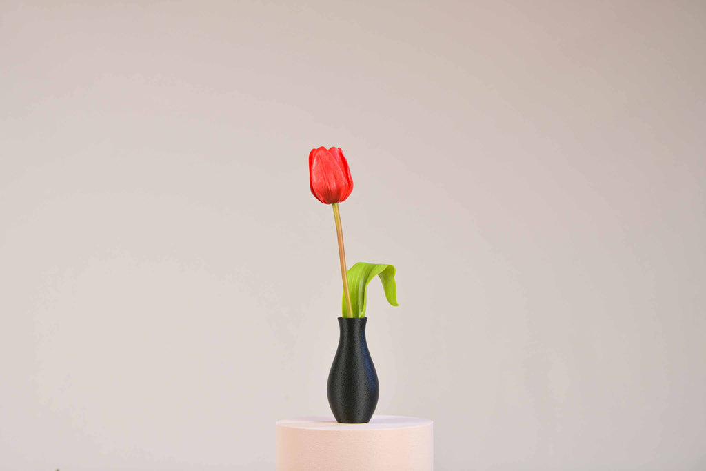 Solifore - Classique